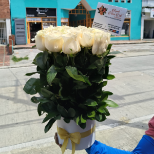 Coronas funebres- regalaflorescali (2)