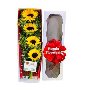 Caja con Girasoles Económico
