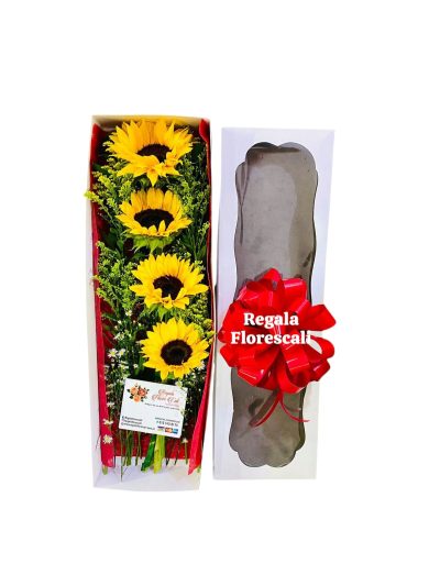 Caja con Girasoles Económico